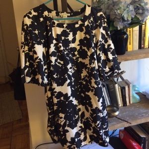 Banana Republic silhouette dress